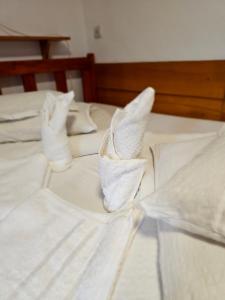 Imagem da galeria de Vila Domokos em Sovata