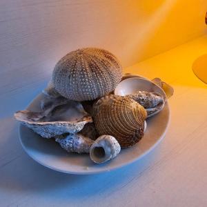 Fotografia z galérie ubytovania Vidalići Seaview Apartment v destinácii Kustići