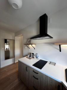 a kitchen with a sink and a stove at Apartamenty Św Stanisława in Skierniewice