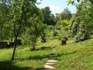 Zahrada ubytování Appartamento in Monferrato di domInga