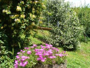 Zahrada ubytování Appartamento in Monferrato di domInga