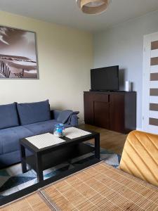 Televízia a/alebo spoločenská miestnosť v ubytovaní Apartament Morska