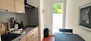 a kitchen with a sink and a counter top at les Pins du lac in Lacoste +1 photo