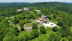 Priroda u blizini vila