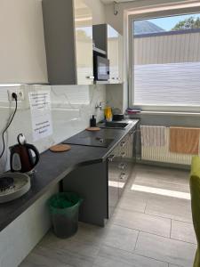 a kitchen with a sink and a counter top at Penzion Teplanka in Považská Bystrica +12 photos