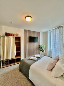 a bedroom with a large white bed and a window at Studio 3 Rue Théodore Bac - DABNB in Limoges