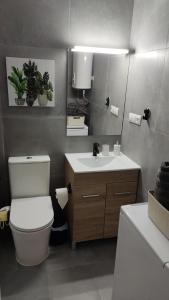 a bathroom with a toilet and a sink and a mirror at Loft La Cala de Mijas beach estudio mirando al mar in La Cala de Mijas