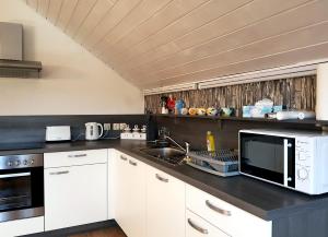 a kitchen with a sink and a microwave at Lake House Apartment in Medvode +44 photos