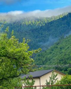 Billede fra billedgalleriet på Villa Sadgeri i Sadgeri