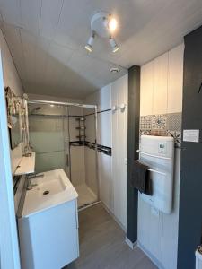a bathroom with a sink and a shower at Maison MAHECO in Gujan-Mestras +37 photos