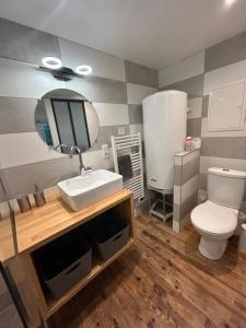 a bathroom with a white toilet and a sink at Maison MAHECO in Gujan-Mestras