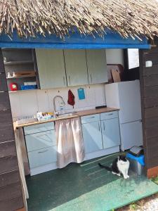 a black and white cat sitting in a small kitchen at Domek Wiedźmy in Kaleńsko