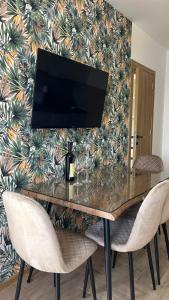 TV a/nebo společenská místnost v ubytování Apartmani Radmanovic