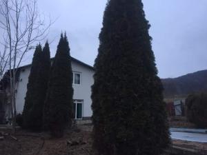a group of trees in front of a house at Casa Din Deal in Podişu
