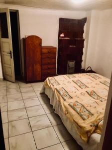 a bedroom with a bed and a dresser at Casa Din Deal in Podişu