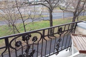 une balustrade en fer forgé sur un balcon avec un arbre dans l'établissement 2 room apartment near station Neustadt in Dresden Neustadt, à Dresde