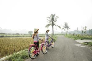 婆罗浮屠Balkondes Karanganyar Borobudur的两个女孩骑着自行车在路上行驶