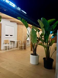 A television and/or entertainment centre at Pensión La Ola