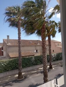 Billede fra billedgalleriet på Chambre d'hôtes king size Plage Piscine Spa i Valras-Plage + 19 billeder