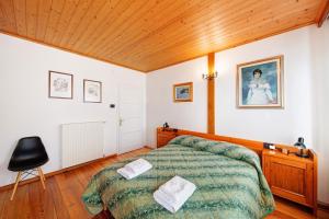 ein Schlafzimmer mit einem Bett und einem Stuhl darin in der Unterkunft Appartamento San Lorenzo 2 a Vinigo in Vinigo