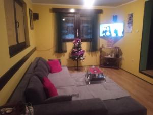 a living room with a couch and a christmas tree at kuća za odmor Ćira in Kremna