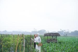 入住Balkondes Karanganyar Borobudur的客人