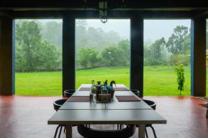 Κήπος έξω από το King's Landing +42 φωτογραφίες