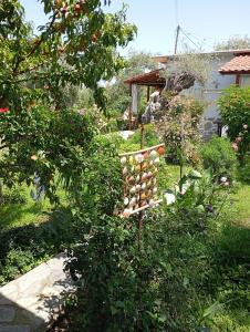 Billede fra billedgalleriet på Cristi studio i Skála Rachoníou + 5 billeder