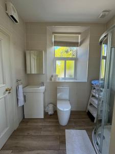 a bathroom with a toilet and a sink and a window at Railway Cottage in Cork +13 photos