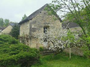 an old stone house with a flowering tree in front of it at Maison au cœur des châteaux. in La Chapelle-aux-Naux