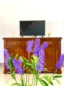a bunch of purple flowers in front of a tv at CENTER APARTMENT Mazagón in Mazagón +12 photos