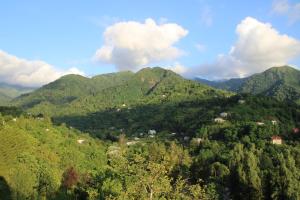 Paesaggio naturale nelle vicinanze di questo campeggio di lusso