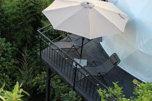 Giardino di Mandarina - Cosmo Dome
