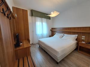 a hotel room with a bed and a television at Hotel Alla Dolina in Sistiana