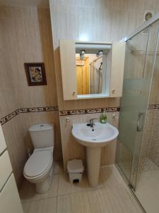 a bathroom with a toilet and a sink and a shower at Apartamento Plaza Nueva del Morche in Morche +9 photos