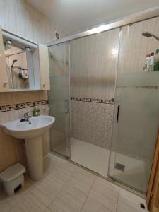 a bathroom with a shower and a sink at Apartamento Plaza Nueva del Morche in Morche