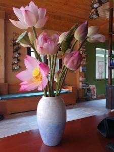 Fotografie z fotogalerie ubytování Botanic Sapa Hotel v destinaci Sa Pa