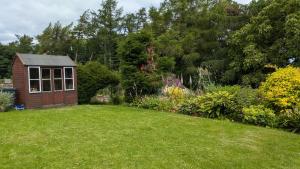 un giardino con un piccolo capanno nell'erba di Cumledge Yew Trees Cottage a Duns