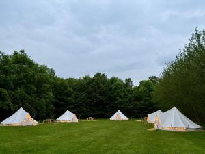 a group of tents in a field with trees at Birch Bell Tent in Droitwich