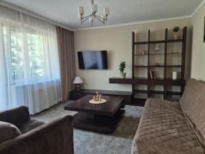 a living room with a couch and a coffee table at Apartamenty Uchnasta in Busko-Zdrój