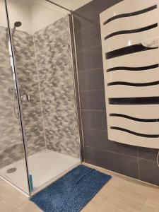 Koupelna v ubytování Beau trois pièces au centre de Sélestat centre