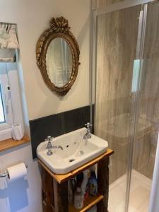 a bathroom with a sink and a shower at The Cabin at Bragdy in Pwllheli +6 photos