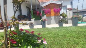 Gallery image of Villa Ruža in Golubac