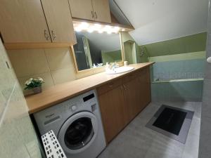 シオーフォクにあるPelso Holiday Apartments Bambuszの洗濯機と洗面台を備えたバスルーム
