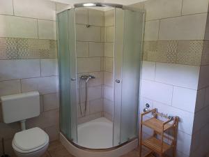 Koupelna v ubytování Apartma Ginga