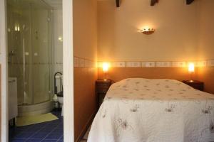 a bedroom with a bed and a bathroom with a shower at Chez Marie-Anne in Sacquenay