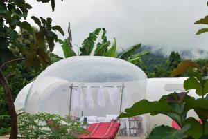 a dome house with a red chair in a garden at Safari Bubbles in Wundanyi