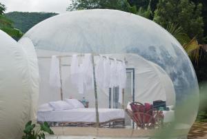 Galería fotográfica de Safari Bubbles en Wundanyi