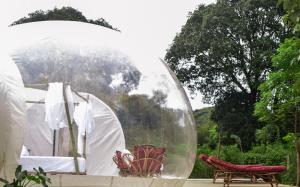 Galería fotográfica de Safari Bubbles en Wundanyi 23 fotos más