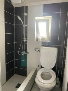 a bathroom with a toilet and a shower at Vila city in Bijeljina +18 photos